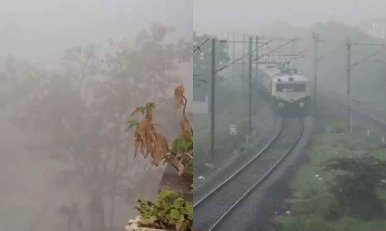 சென்னை-புறநகர் பகுதிகளில் நிலவிய பனிமூட்டத்தால் புறநகர் ரெயில்கள் தாமதமாக இயக்கம்