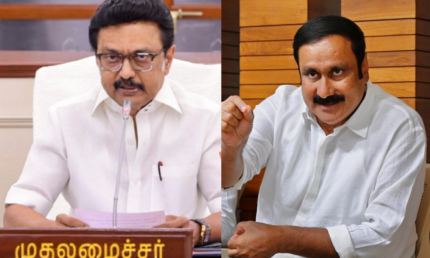 கிடைத்தவரை சுருட்டும் கனிமவளக் கொள்ளை: திமுகவை மக்கள் விரட்டியடிப்பர்- அன்புமணி ராமதாஸ்