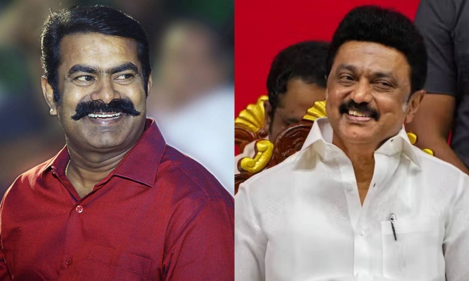 'இந்தியா கூட்டணியில் இருக்கும் வலுவான தலைவர் முதலமைச்சர் மு.க.ஸ்டாலின்தான்' - சீமான்