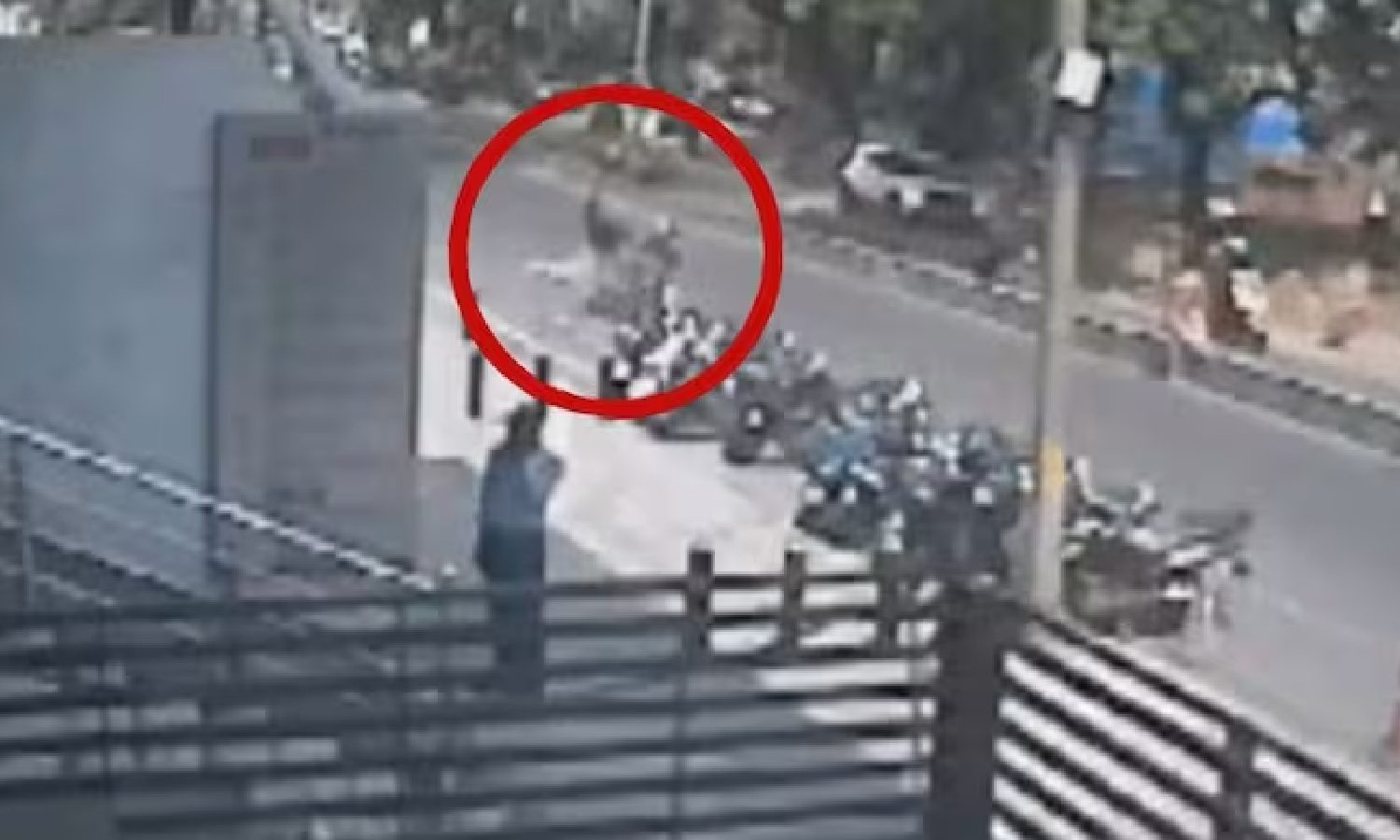 பெங்களூரு: மதிய உணவிற்கு வெளியே சென்ற வங்கி ஊழியர் பைக் மோதி உயிரிழப்பு!