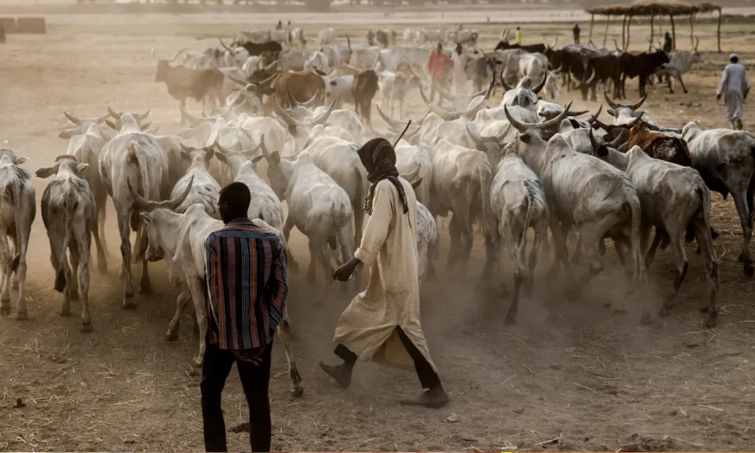 நைஜீரியா: கால்நடைகளுக்காக கிராம மக்கள் 33 பேரை சுட்டுக் கொன்ற பயங்கரவாதிகள்