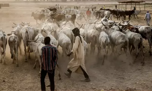 நைஜீரியா: கால்நடைகளுக்காக கிராம மக்கள் 33 பேரை சுட்டுக் கொன்ற பயங்கரவாதிகள்