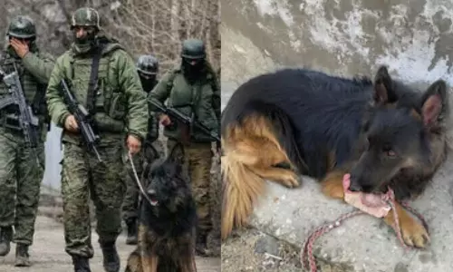 குண்டடிபட்டும் பின்வாங்காத டைசன்.. 3 பயங்கரவாதிகளை சுட்டுக் கொல்ல வீரர்களுக்கு உதவிய ஜீவன்