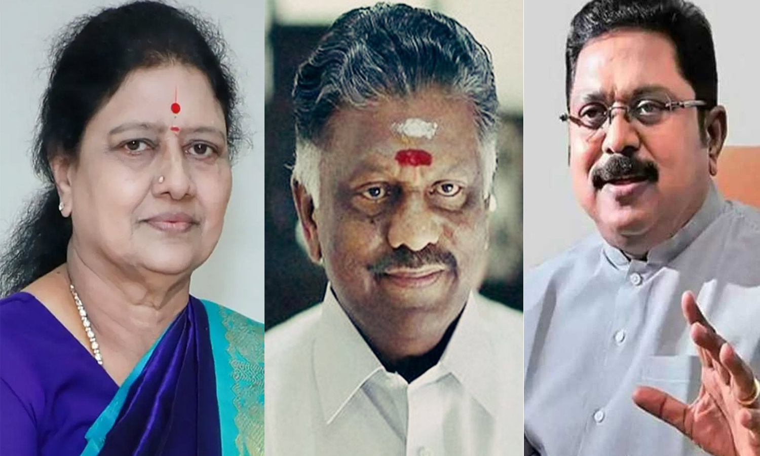 சசிகலா, ஓ.பி.எஸ். NDA கூட்டணிக்கு வருவார்கள் - டி.டி.வி.தினகரன்