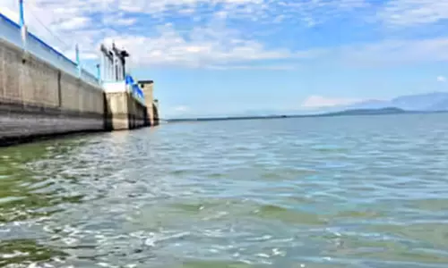 வைகை அணையில் இருந்து பாசனத்திற்கு திறக்கப்பட்ட தண்ணீர் முற்றிலும் நிறுத்தம்- நீர்மட்டம் சரிவதால் நடவடிக்கை