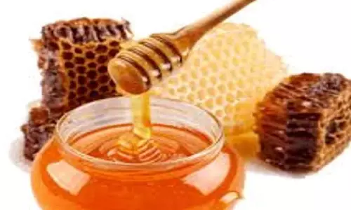 மூட்டு வலிகளுக்கு சிறந்த மருந்து தேன்