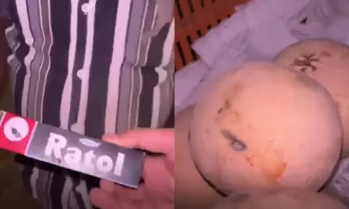 பழங்களின் மேல் எலி மருந்தை தடவிய வியாபாரி -  வீடியோ வெளியாகி பரபரப்பு