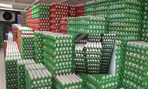 வெயில் தாக்கம், ரம்ஜான் எதிரொலி: நாமக்கல் பண்ணைகளில் 15 கோடி முட்டைகள் தேக்கம்- விலை தொடர் சரிவு