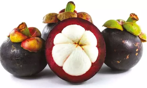 இளமையை காக்கும் மங்குஸ்தான்