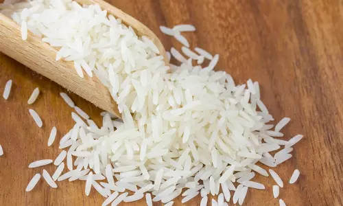 மத்திய கிழக்கில் போர் சூழல் - இந்தியாவின் ரூ.6 ஆயிரம் கோடி அரிசி ஏற்றுமதி கடும் பாதிப்பு