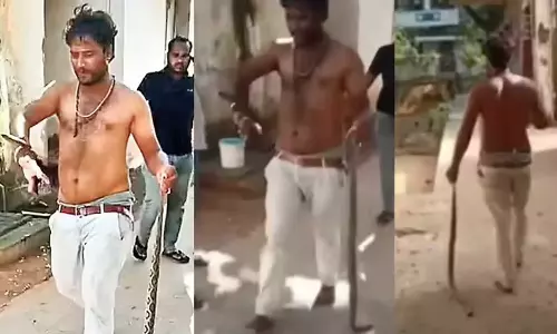 ஆந்திராவில் தன்னை கடித்த பாம்பை தூக்கிக் கொண்டு மருத்துவமனைக்கு சென்ற வாலிபர்