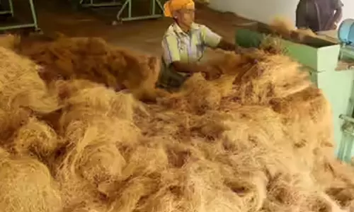 ஈரான் போரால் கப்பல் போக்குவரத்து நிறுத்தம்: பொள்ளாச்சியில் ரூ.100 கோடி மதிப்பில் தென்னை நார் ஏற்றுமதி பாதிப்பு