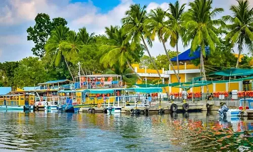 #WomensDay2026 மகளிர் தினத்தையொட்டி பெண்களுக்கு இலவச படகு சவாரி