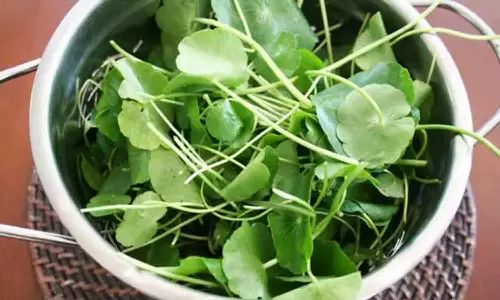 வல்லாரை கீரையின் மருத்துவ குணங்கள்