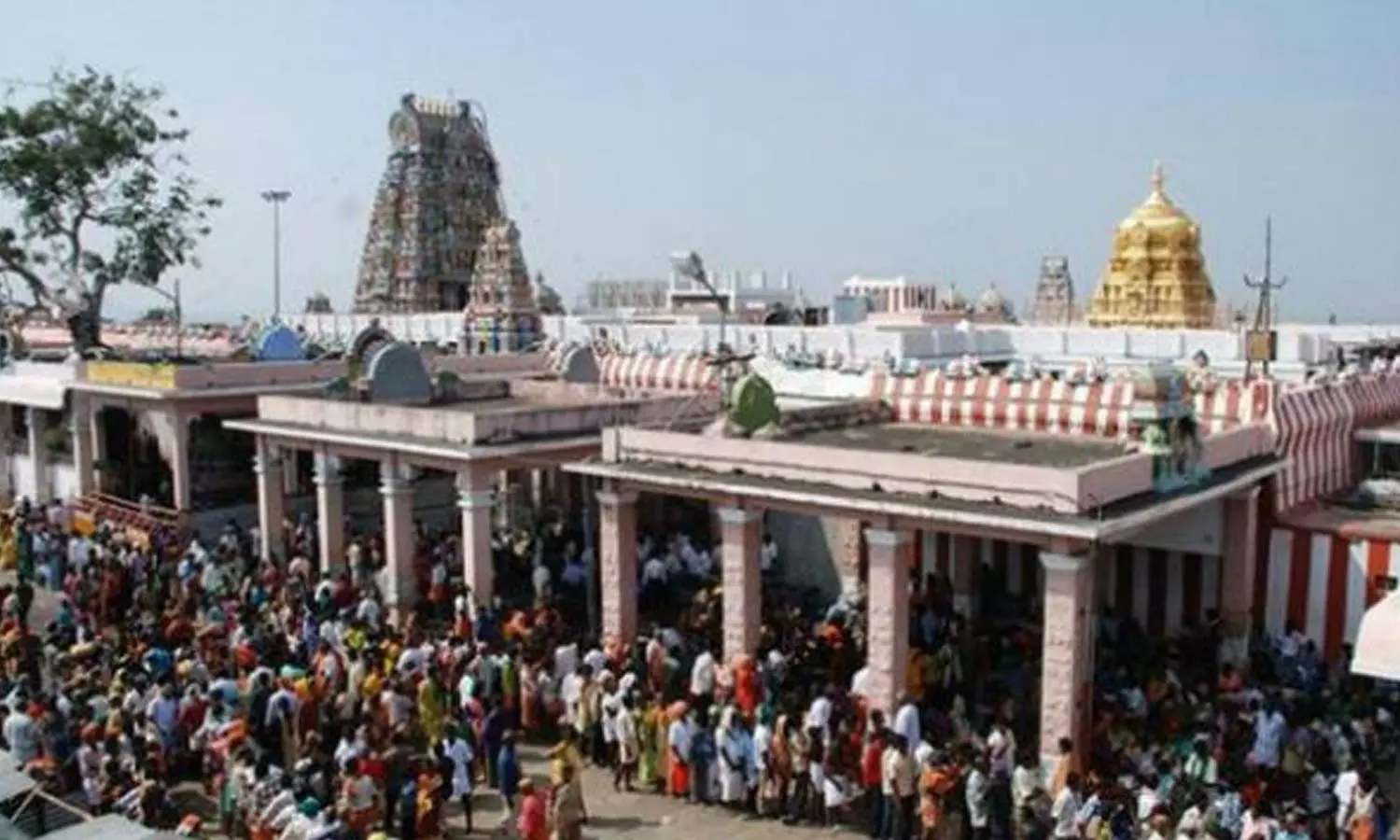 Murugan-Temple|-பழனி-மலைக்கோவிலில்-பங்குனி-உத்திர-திருவிழா-மார்ச்-26-ந்தேதி-தொடக்கம்