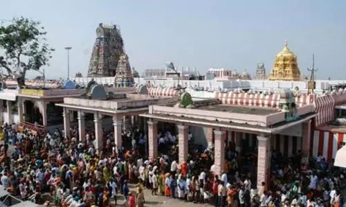 Murugan Temple| பழனி மலைக்கோவிலில் பங்குனி உத்திர திருவிழா மார்ச் 26-ந்தேதி தொடக்கம்