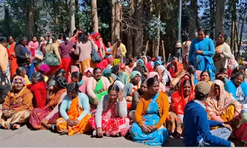 ஊட்டி அரசினர் ரோஜா பூங்காவில் தோட்டக்கலை ஊழியர்கள் காத்திருப்பு போராட்டம்