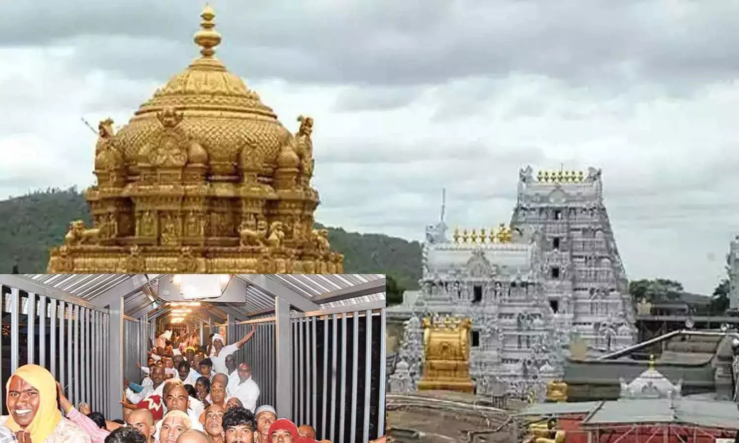 திருப்பதியில்-3-கி.மீ.-வரிசையில்-காத்திருந்த-பக்தர்கள்--சாமி-தரிசனத்திற்கு-24-மணி-நேரமாகிறது|-Tirupati-Temple