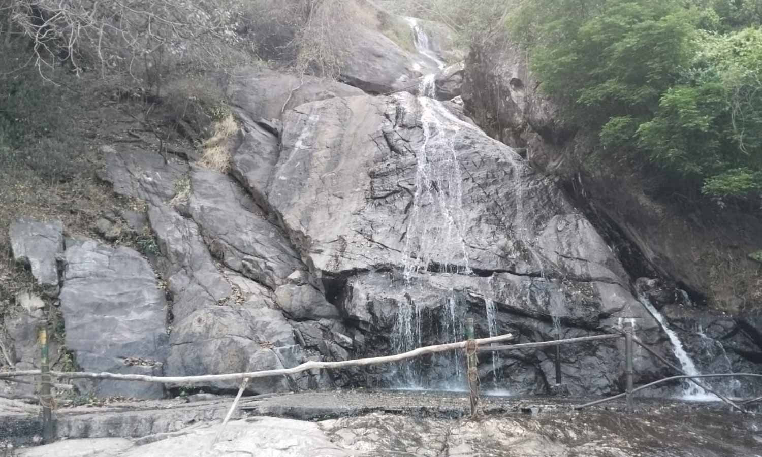 கவியருவிக்கு செல்ல சுற்றுலா பயணிகளுக்கு தடை- வனத்துறை அறிவிப்பு