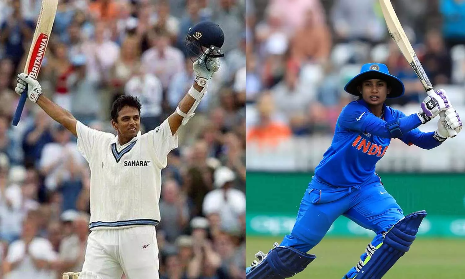 BCCI-|-ராகுல்-டிராவிட்,-மிதாலி-ராஜை-கவுரவிக்கும்-பிசிசிஐ