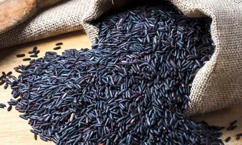 #Health உடலுக்கு ஆற்றல் தரும் கருப்பு கவுனி அரிசி